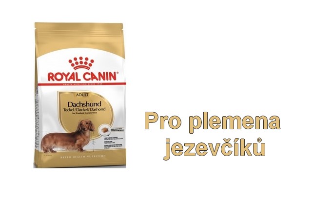 Royal Canin Dachshund - jezevčík