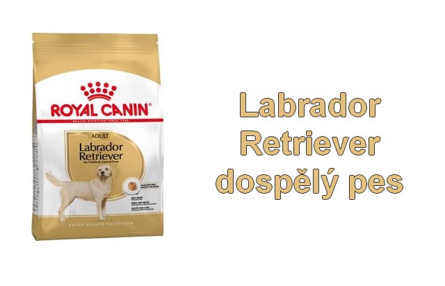 Royal Canin Labrador - Retriever